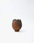 Chamberlain | Faceted Teabowl XXI