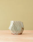 Kochis | Cup Collection