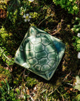 Turtle Paperweight