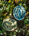 The Frog Paperweight has an oval bottom in the shape of a small lily pad. The high-relief tree frog sits on top- this paperweight is detailed and thick.