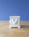 Simon | White Box Collection