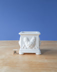 Simon | White Box Collection
