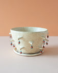 Gervais | Spotted Speckle Planters