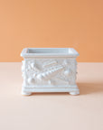 Simon | Summer Box Collection