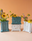 Simon | Summer Box Collection