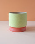 Stanley Chester & Albert | Planters Collection