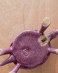 Bungart | Turtle + Rabbit Collection