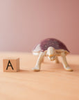 Bungart | Turtle + Rabbit Collection
