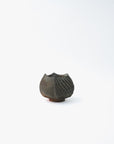 Chamberlain | Faceted Teabowl XXII