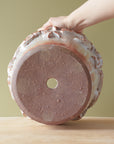 Bungart | Bird Planter