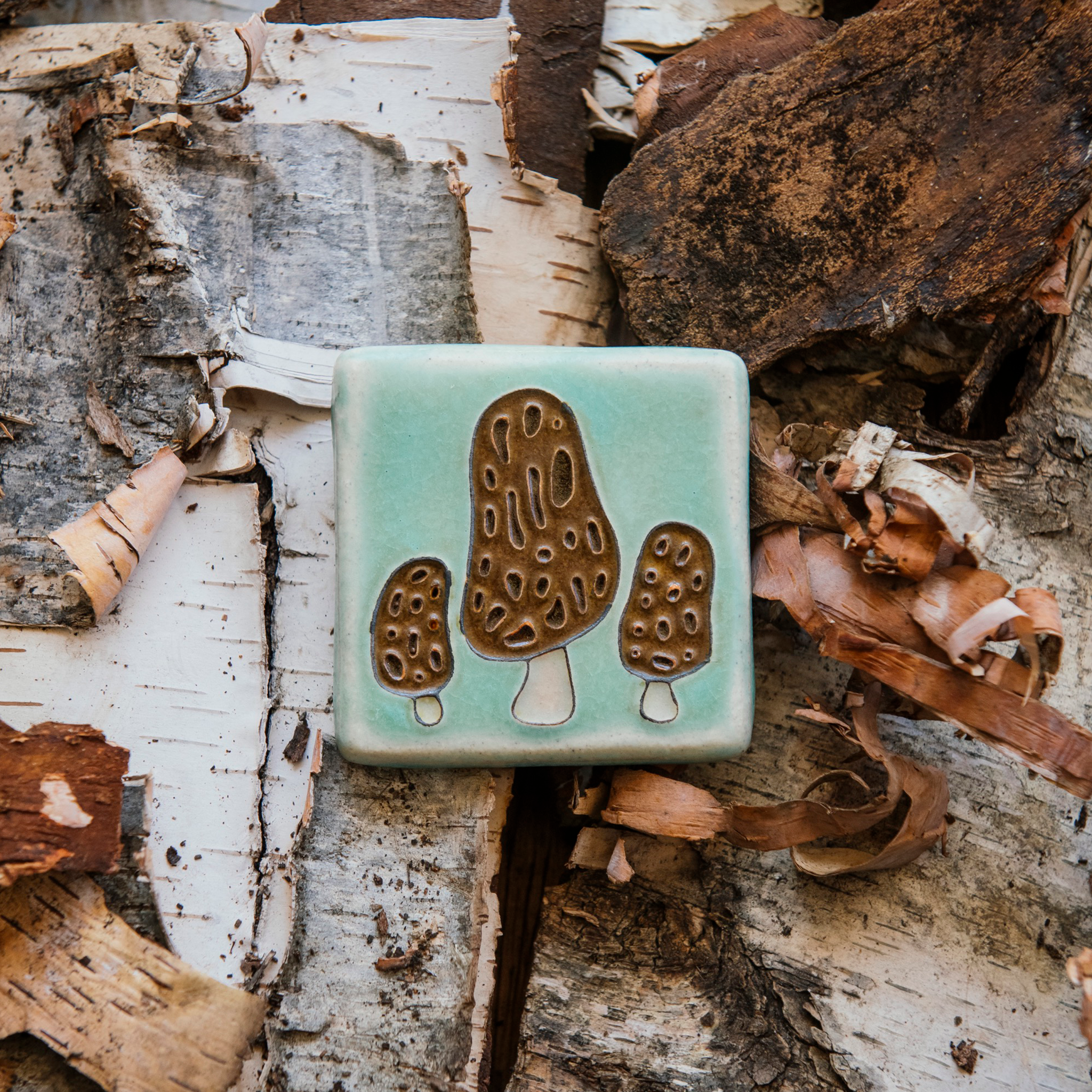 A tile depicting a line-drawn trio of brown Morel mushrooms on a light sea foam-glazed background. 