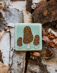 A tile depicting a line-drawn trio of brown Morel mushrooms on a light sea foam-glazed background. 