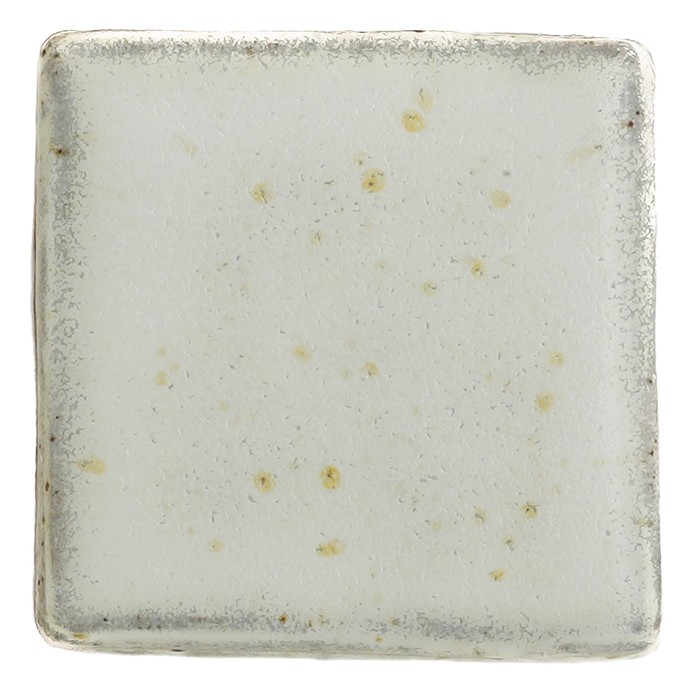 Birch | G25Rx