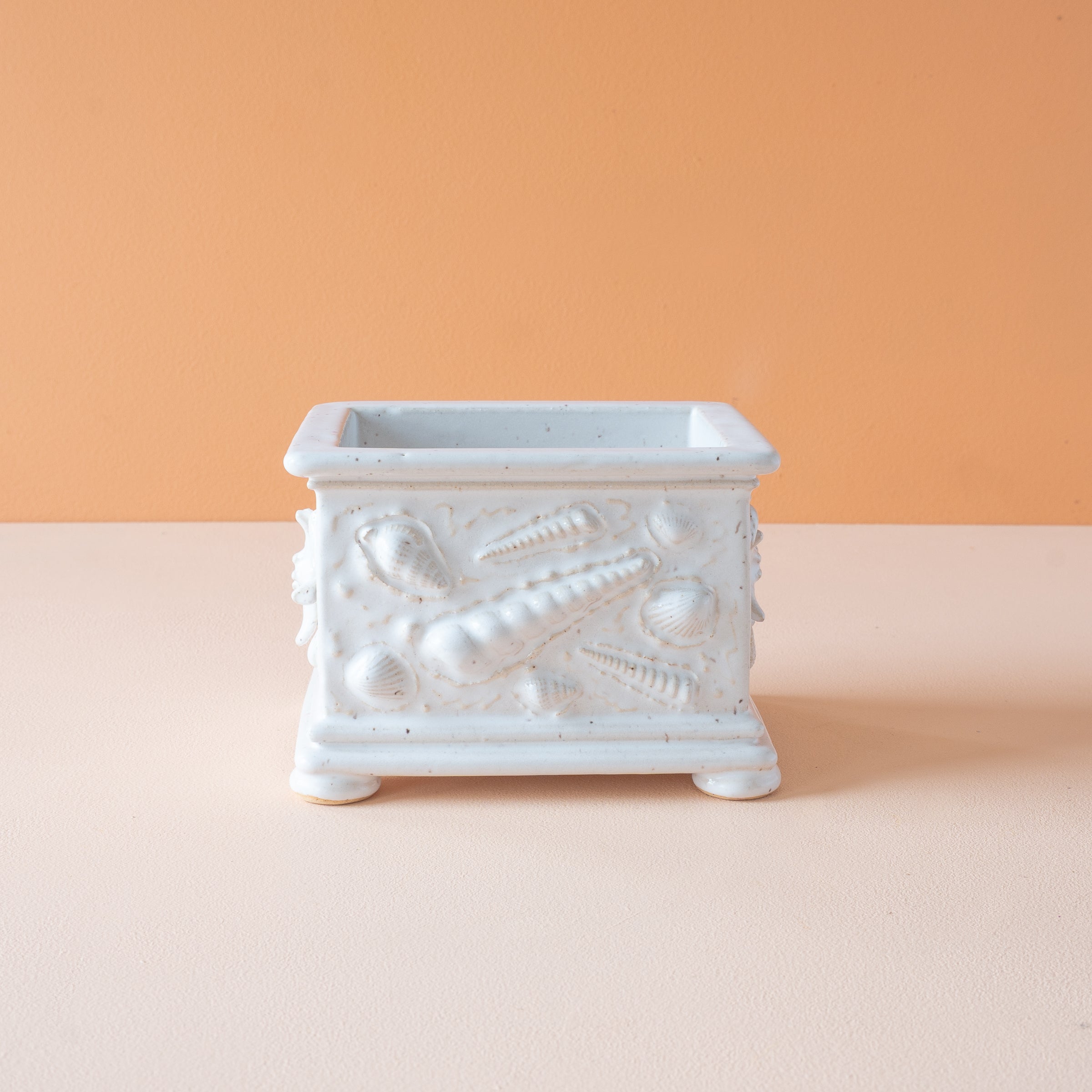 Simon | Summer Box Collection