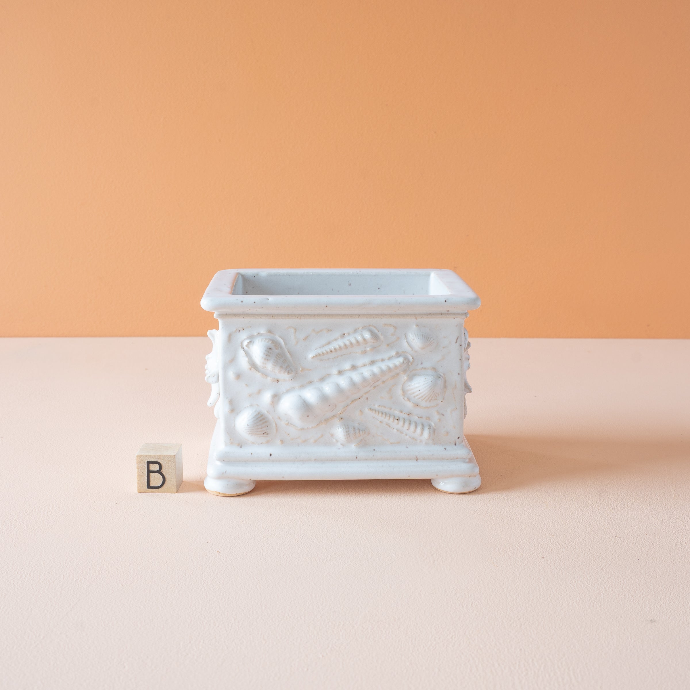 Simon | Summer Box Collection