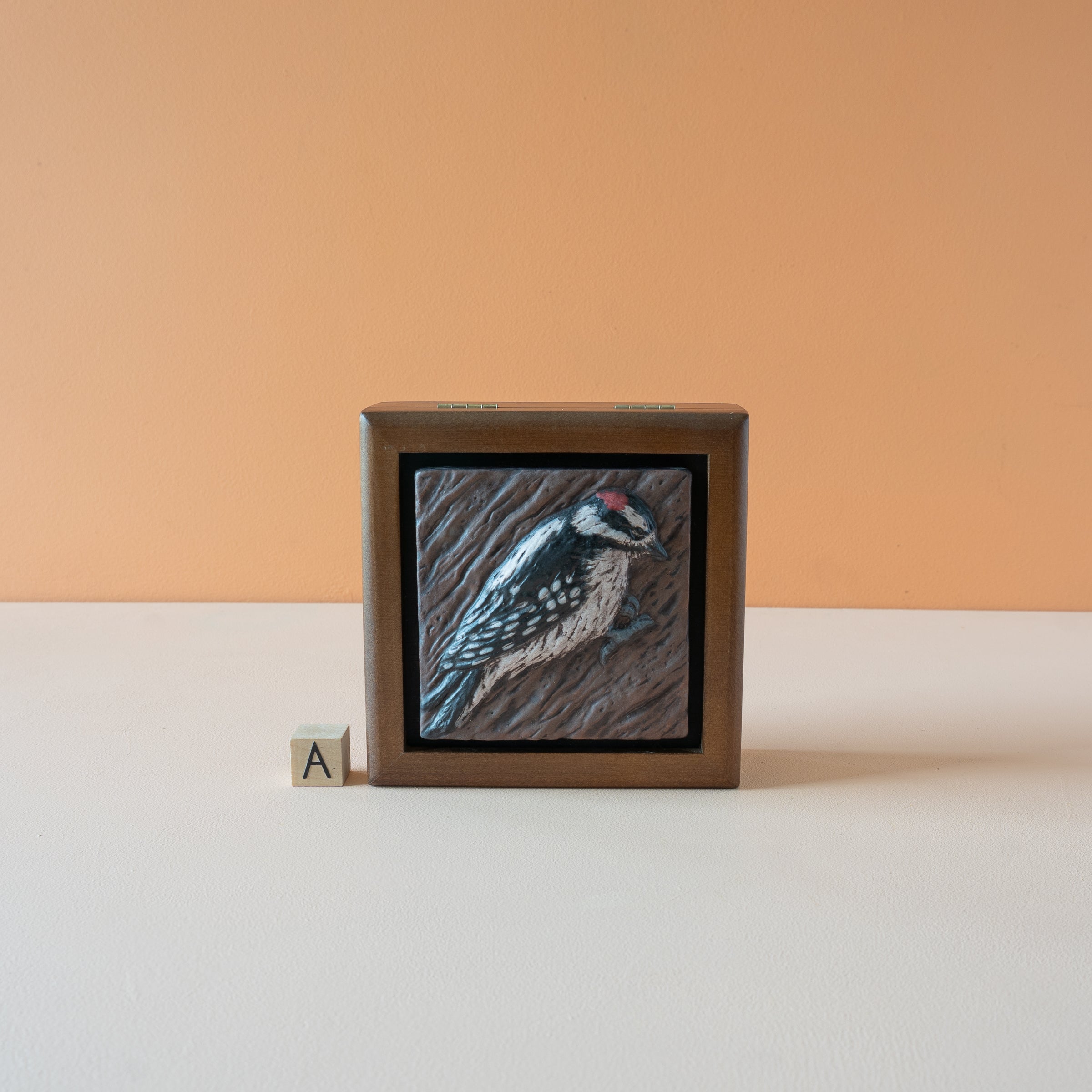 Sharkus | Tile Box Collection