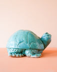 Timmons | Small Turtle