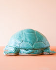 Timmons | Small Turtle
