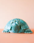 Timmons | Small Turtle