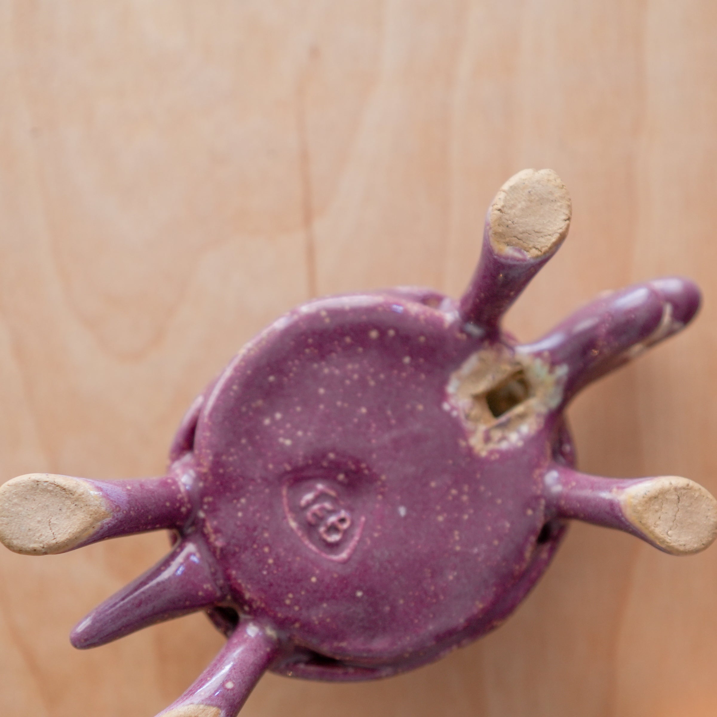 Bungart | Turtle + Rabbit Collection