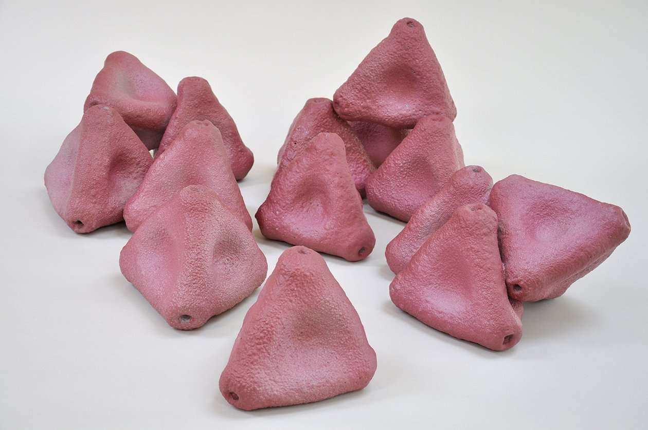 Ceramic Rose-Bay Willow Herb (Onagraceae)